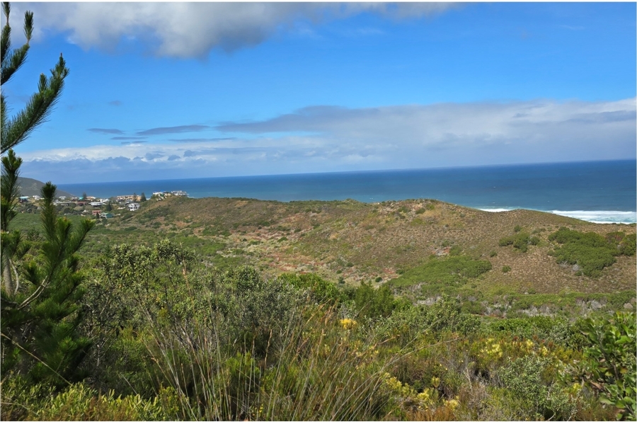 0 Bedroom Property for Sale in Brenton On Sea Western Cape